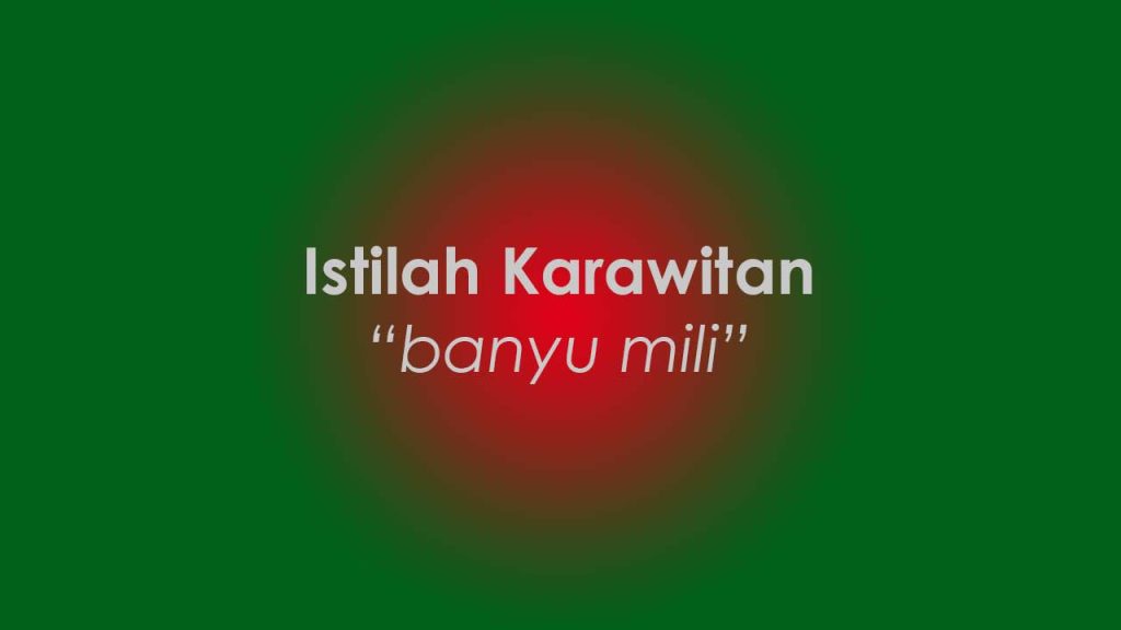 Banyu Mili