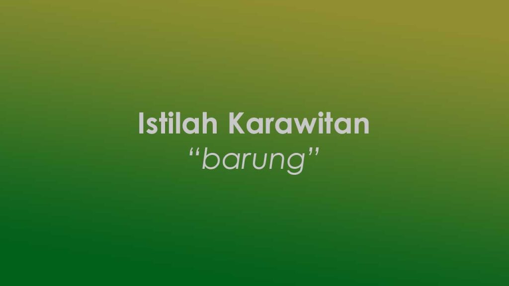 Barung