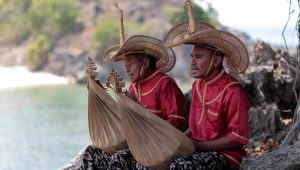 Ciri Khas Utama Sasando