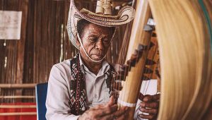 Orang Sedang Memainkan Alat Musik Sasando