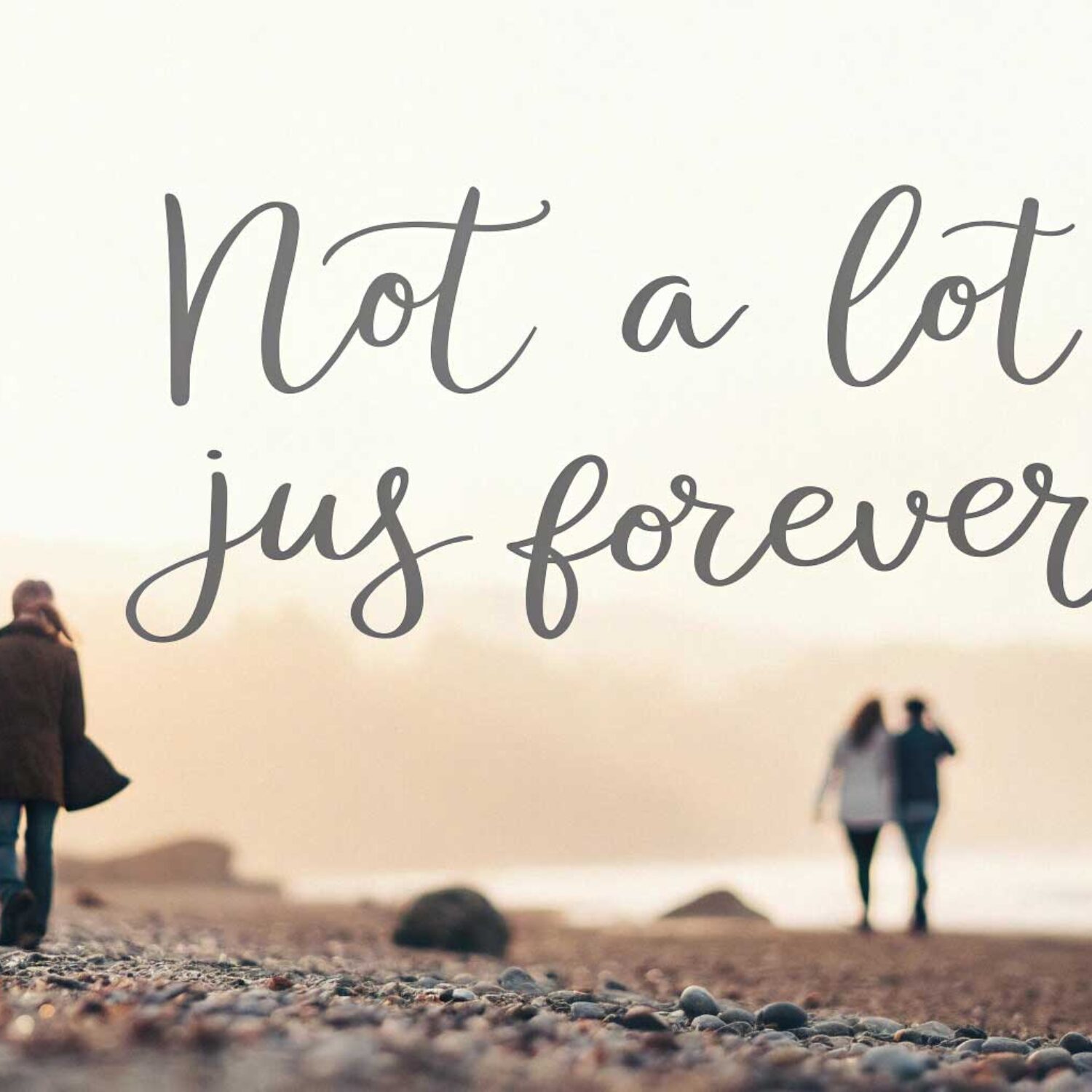 Makna Lagu Not A Lot, Just Forever